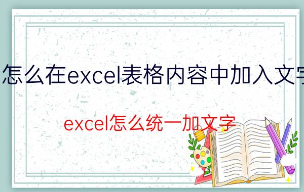 怎么在excel表格内容中加入文字 excel怎么统一加文字？